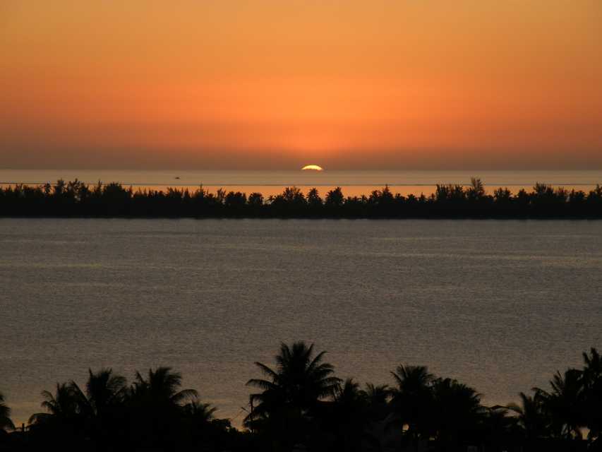 Original Ausblick-Coconut Isl. Original Ausblick-Coconut Isl.