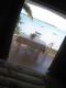 Meerblick vom Bett