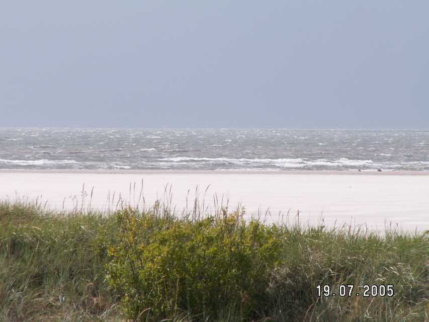 Dünen und Strand Dünen und Strand