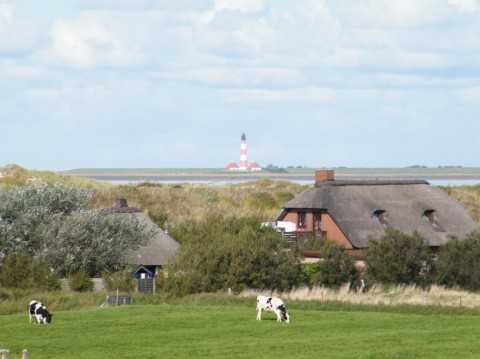 Reetdachferienhaus Strandperle Reetdachferienhaus Strandperle