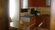 Pingo Studio
