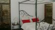 Pingo Studio