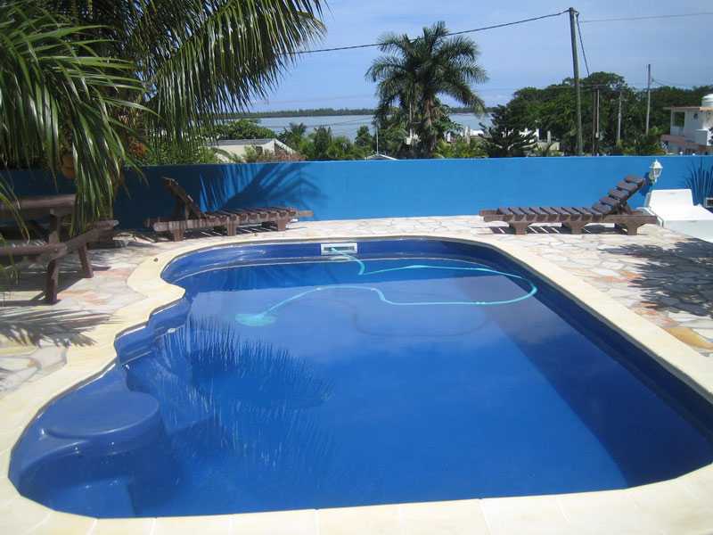 Pool im Garten Pool im Garten
