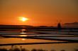 Marsala Saline Mozia-Lo Stagno